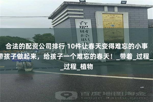 合法的配资公司排行 10件让春天变得难忘的小事——带孩子做起来，给孩子一个难忘的春天！_带着_过程_植物