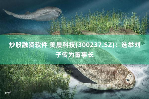 炒股融资软件 美晨科技(300237.SZ)：选举刘子传为董事长