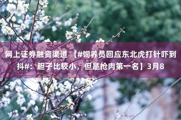 网上证劵融资渠道 【#饲养员回应东北虎打针吓到抖#：胆子比较小，但是抢肉第一名】3月8