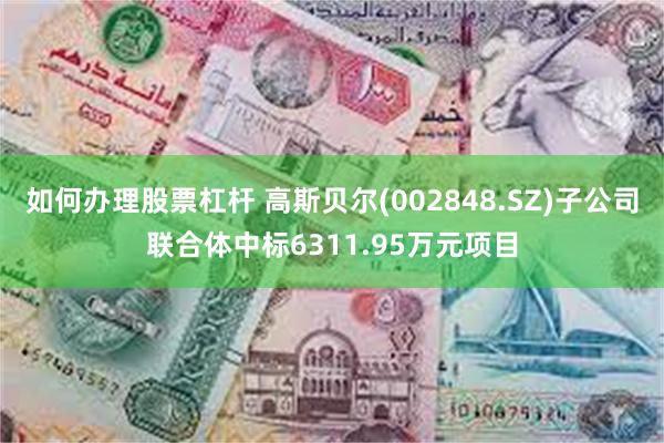 如何办理股票杠杆 高斯贝尔(002848.SZ)子公司联合体中标6311.95万元项目