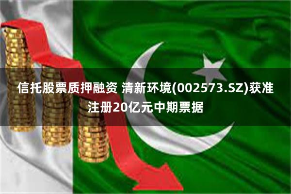 信托股票质押融资 清新环境(002573.SZ)获准注册20亿元中期票据