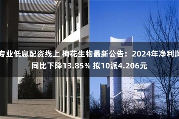 专业低息配资线上 梅花生物最新公告：2024年净利润同比下降13.85% 拟10派4.206元
