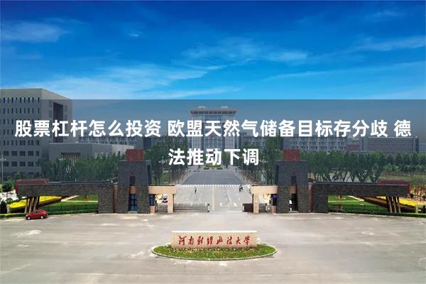 股票杠杆怎么投资 欧盟天然气储备目标存分歧 德法推动下调