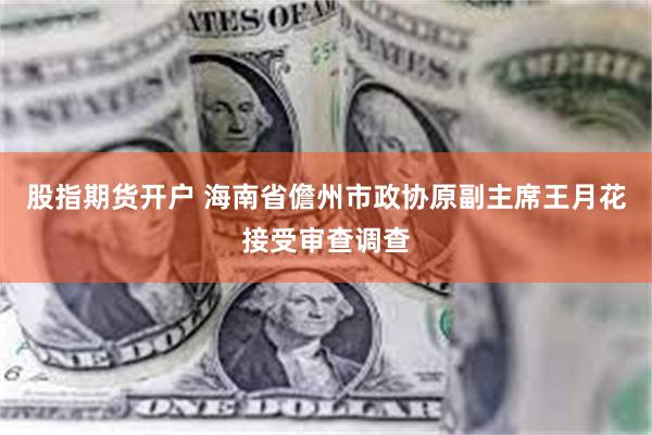 股指期货开户 海南省儋州市政协原副主席王月花接受审查调查