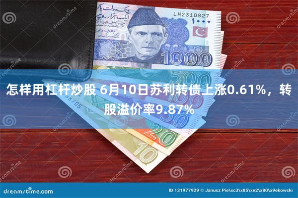 怎样用杠杆炒股 6月10日苏利转债上涨0.61%，转股溢价率9.87%