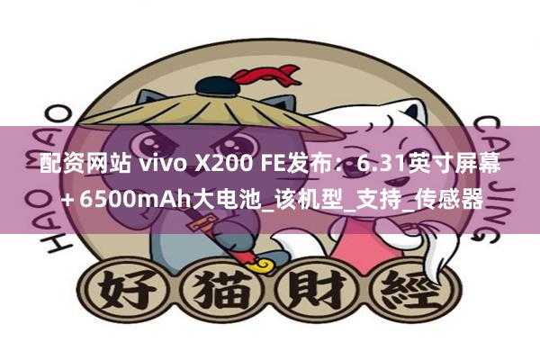 配资网站 vivo X200 FE发布：6.31英寸屏幕＋6500mAh大电池_该机型_支持_传感器