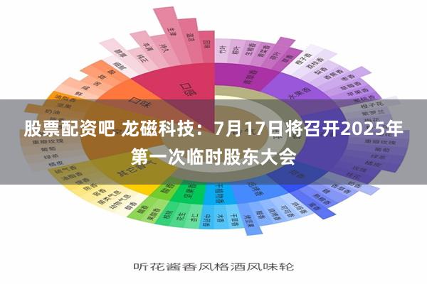 股票配资吧 龙磁科技：7月17日将召开2025年第一次临时股东大会