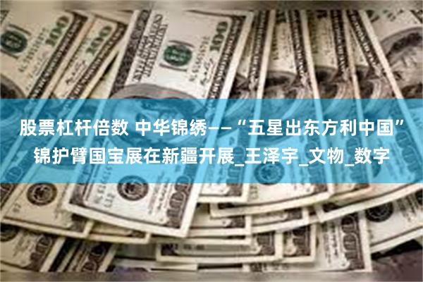 股票杠杆倍数 中华锦绣——“五星出东方利中国”锦护臂国宝展在新疆开展_王泽宇_文物_数字