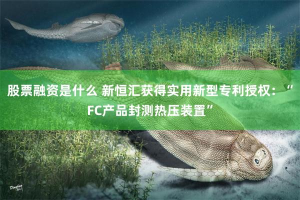 股票融资是什么 新恒汇获得实用新型专利授权：“FC产品封测热压装置”