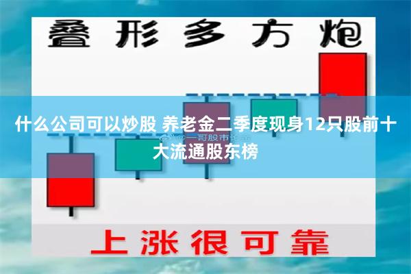 什么公司可以炒股 养老金二季度现身12只股前十大流通股东榜