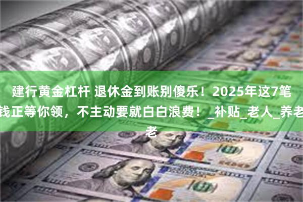 建行黄金杠杆 退休金到账别傻乐！2025年这7笔钱正等你领，不主动要就白白浪费！_补贴_老人_养老