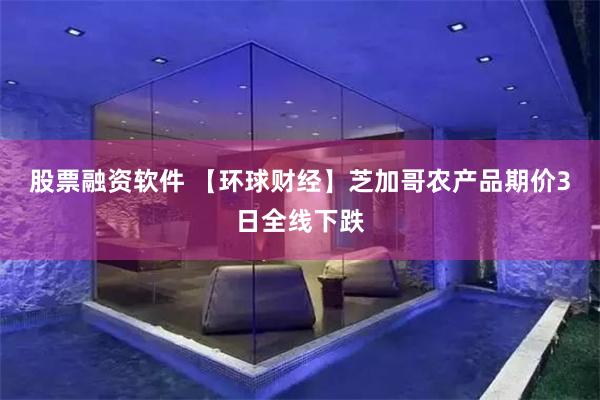 股票融资软件 【环球财经】芝加哥农产品期价3日全线下跌
