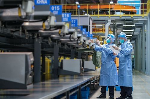 上海外貿韌性強勁 上半年走出V型修復態(tài)勢，國內貿易代理持續(xù)發(fā)力